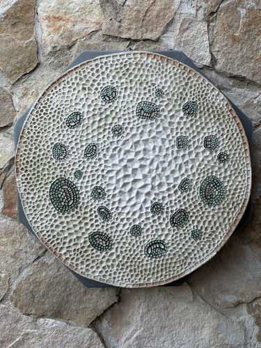 Modello didattico botanico - modello, didattico/botanico