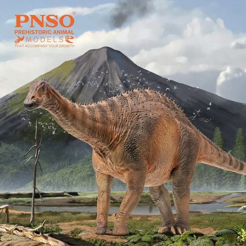 Pnso 2022 chuanchuan - 2022,