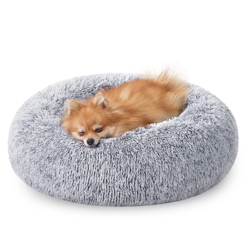 Cuccia cane interno - cuccia,