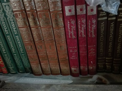 Sacra bibbia volumi e il - 4,