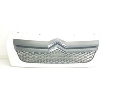 1613256780 griglia anteriore