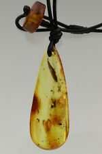 5 INSETTI FOSSILI E FOGLIE vera AMBRA BALTICA ciondolo corda di pelle 5,1 g 90306-8