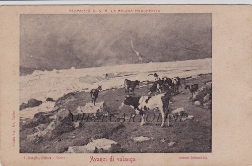 Reali avanzi valanga - reali:"avanzi, di