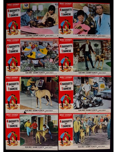 Fotobuste bassotti per 1 - 4,