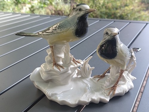 Couple oiseaux bergeronnettes