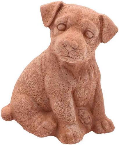 Cucciolo labrador - labrador, in