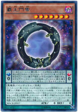 MACR-JP017 - Yugioh -