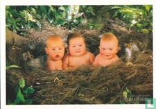 Poster Cartonato 60 x 90 -