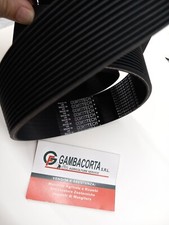 Cinghia Poly J1549- 14 Gole