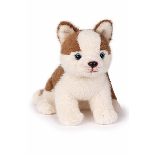Peluche husky pupazzo - cm, 25