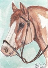 ACEO originale Acquerello Art