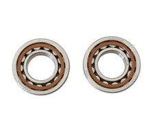 CUSCINETTI ALBERO MOTORE KTM