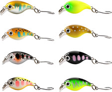 Kit esche pesca - di,