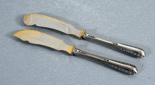 Eleganti coltelli argento - eleganti,