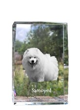 Samoiedo,Samoiedo,Samojedenhun