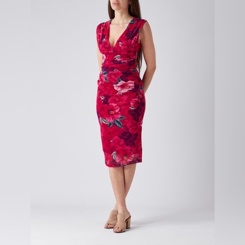 Pinko accaldato hibiscus - pinko,