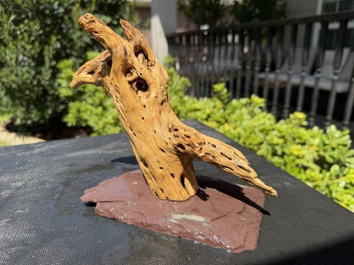 Cholla driftwood acquari pesci - cholla,