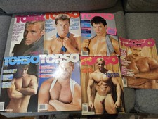 Total - Torso's Stallion Lot
