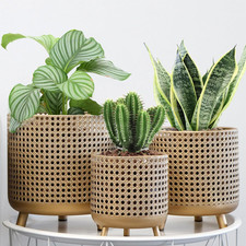 Set Da 3 Vasi Decorativi in