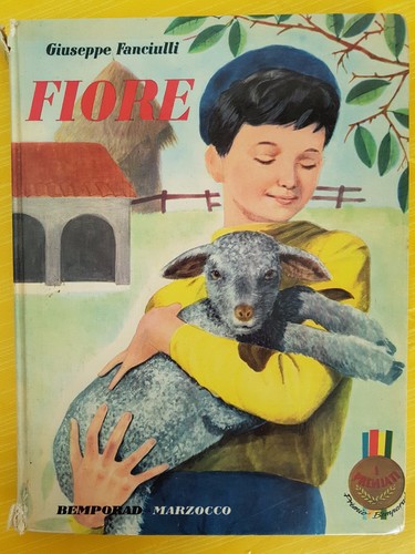 Libro giuseppe fanciulli - libro,