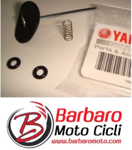 Membrana pompa carburatore - membrana,