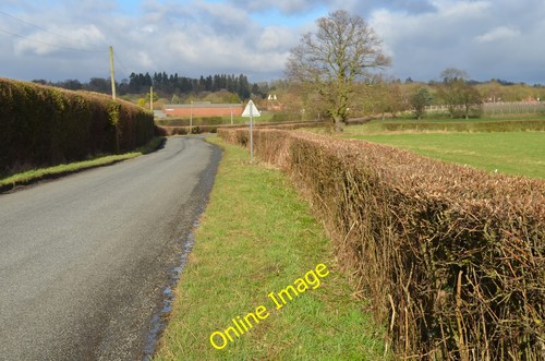 Photo 12x8 redwell lane near - 12x8,