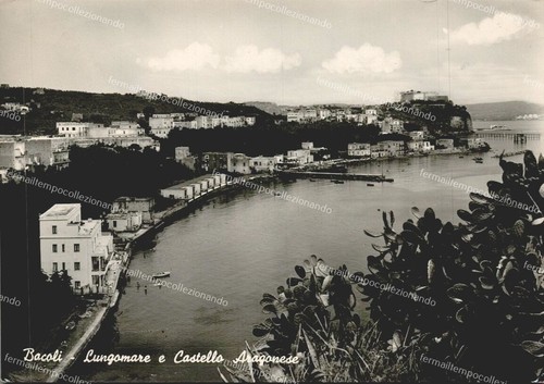 Do794 cartolina - do794,