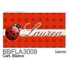 20 PZ Bigliettini bigliettino bomboniera LAUREA con COCCINELLA interno c 08JL