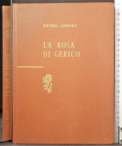 Rosa gerico pietro - di, gerico.
