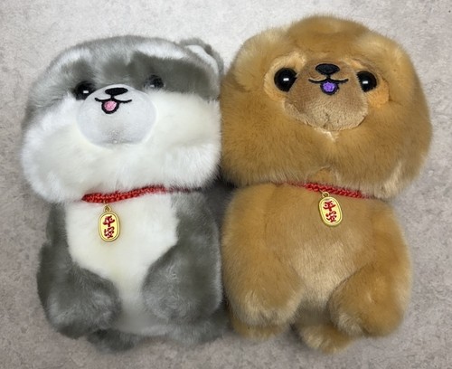 Peluche cane husky - , siberiano