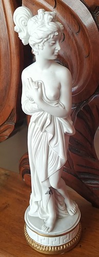 Venere italica porcellana - la,