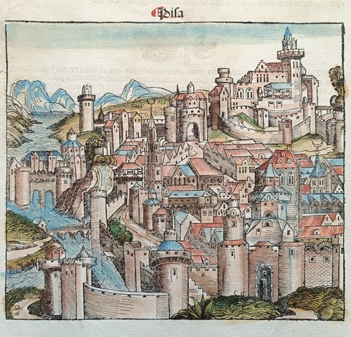 Schedel hartmann pisa - schedel, pisa.