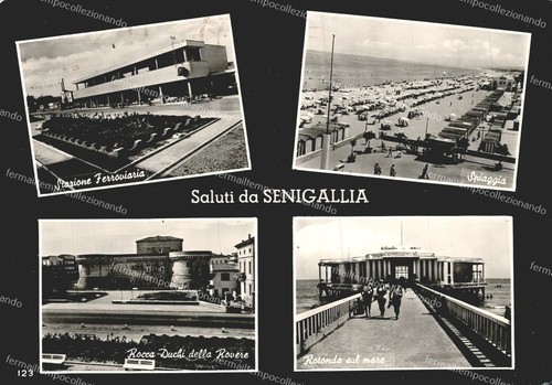 N861 cartolina senigallia - cartolina,