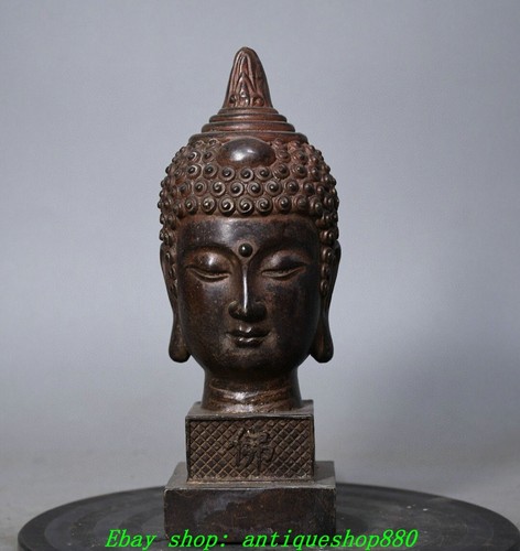 Statua testa buddha - statua, di