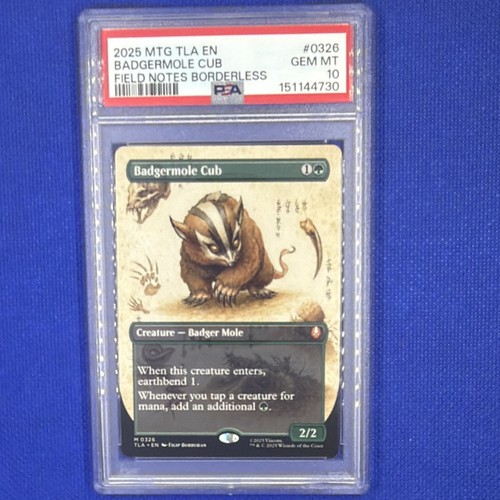Magic the gathering - magic:,