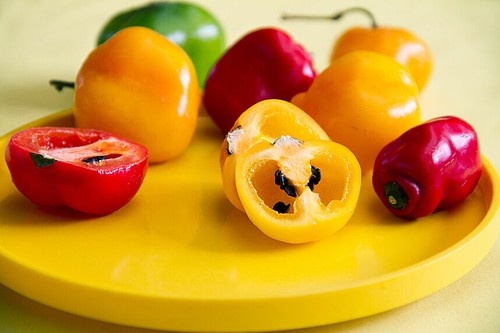 Capsicum pubescens - pubescens,