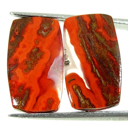 Cts coppia cabochon - 12,60,