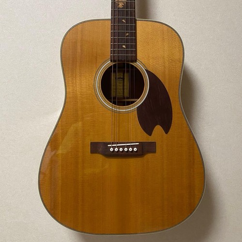 Chitarra acustica headway - chitarra,