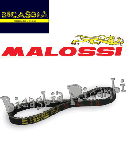 10610 cinghia variatore - -,