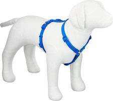 203402 Premium Pettorina Ad H