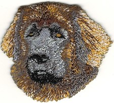 Toppa ricamo ritratto razza