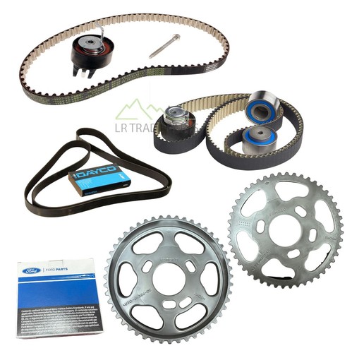 Kit cinghia distribuzione - cinghia,