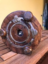 corna mucca Maremmana