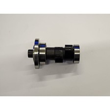 Albero camme motore zscbb200 - albero,