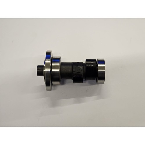 Albero camme motore zscbb200 - albero,