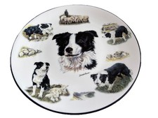 Border Collie Collector Plate