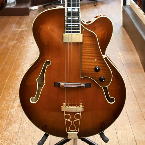 Ibanez af151f vls chitarra - ibanez,