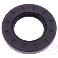 Paraolio 31X55X7 mm BMW R 26