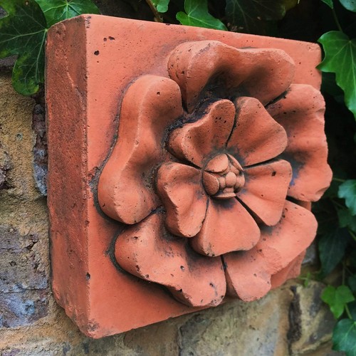 Rosa inglese copia - , mattoni