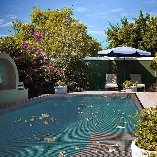 Rete foglie per piscina - a,